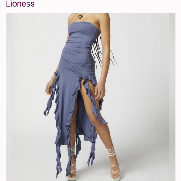 Lioness Strapless Dress - Picture 1 of 6